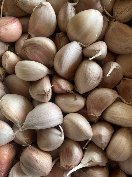 Biodynamic / Organic Seed Garlic / Premium Garlic: Tasmanian Purple: Cloves