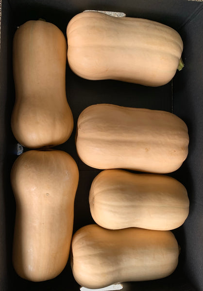 Butternut Pumpkins 14kg Box (Farm gate pick up only).