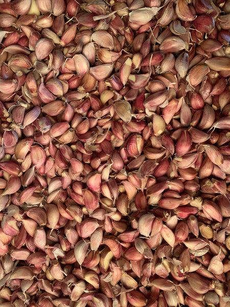Biodynamic / Organic Garlic: Tasmanian Purple: Cloves